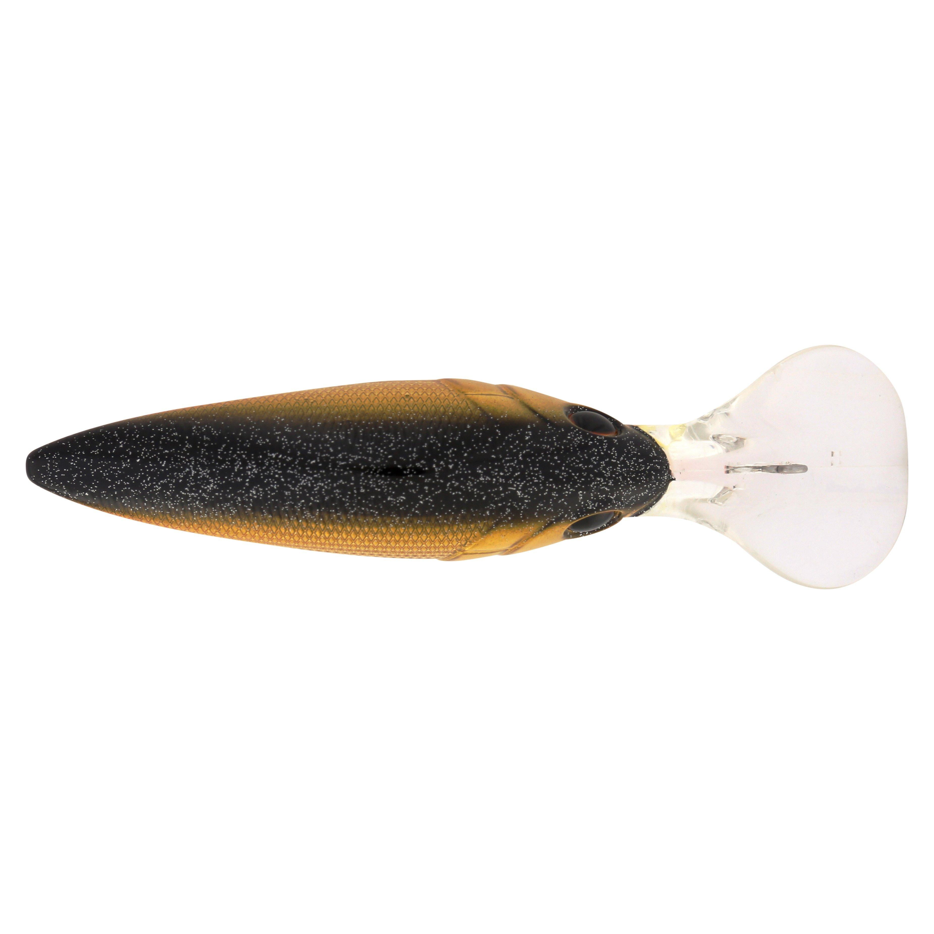 Berkley Money Badger, 6.25, Black Gold