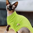 thumbnail image 4 of HLONK Chandail à Col Roulé Sans Poils pour Chat Manteau Doux Tenue Chaude pour Chaton avec Manches TP, 4 of 6
