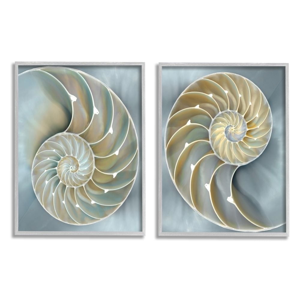 Stupell Industries Intricate Nautilus Interior Natural Geometric Design Framed Wall Art Design by Caroline Kelly