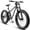Gray, variant on 26 Inch Fat Tire Mountain Bikes, Dual Full Suspension 21 Speed, 4-Inch Wide Fat Tire, for Mens Womens Bicycles, Gray