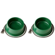 Farm Innovators 1 Quart Electric Heated Pet Water Bowl, Green (2 Pack)