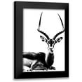 thumbnail image 1 of Sommers, Mindy 13x18 Black Modern Framed Museum Art Print Titled - Antelope, 1 of 5