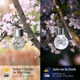 thumbnail image 3 of FKHouse 12-Pack Solar Hanging Globe Lights - Outdoor Waterproof Decorative, Cold White, for Garden & Patio, 3 of 5