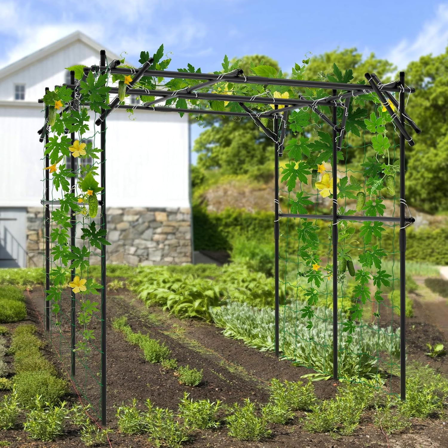 SLSY 79'' L x 79'' W x 79'' H Large Tall Grape Vine Support Arch Arbor Trellis Plastic-Coated Metal Garden Arch Trellis for Climbing Plants Vineyard Patio Lawn Yard Garden Decoration