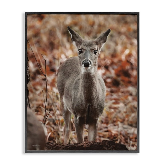 Stupell Industries Farmhouse Fawn in Autumn Nature Black Framed Giclee Art, 16 x 20, by Dakota Diener