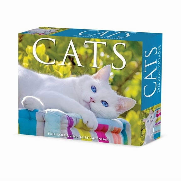 Cats 2026 Box Calendar, (Paperback)