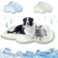 thumbnail image 1 of Ganfancp Summer Cool Mat Sleeping Pad Absorción de Agua Top Bottom Materiales Seguro Fácil de Llevar Mantener Fresco para Mascotas Niños y Adultos. Liquidación Ventas Hoy Ofertas Prime Cojín X1, 1 of 7
