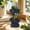 B, variant on ZAZNIWO Unique Humanoid Succulent Planters for Desktop and Balcony Decor - Stylish Double Plant Pot for Cacti and Mini Plants, Perfect for Home and Office