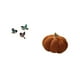 thumbnail image 5 of Arte de pared de pájaro de madera y almohada de calabaza de Halloween, juego decorativo para jardín, estudio, sala de estar, dormitorio de granja, sof, 5 of 8