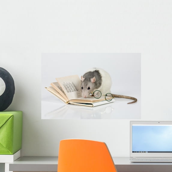 Reading Rat Wall Mural by Wallmonkeys Peel and Stick Graphic (18 in W x 8 in H) WM103347