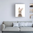 thumbnail image 2 of Lola Peacock 'Floral Bunny' Canvas Art, 2 of 4