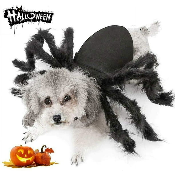 Disfraz de araña para perro y gato para decoración de fiesta de Halloween, disfraces de cosplay de Halloween para perros y gatos pequeños, accesorios de vestir para cachorros y gatos, simulación de terror, araña de peluche, fiesta de disfraces(M) JM