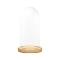 thumbnail image 3 of Cúpula de cristal Macarena Cloche de cúpula transparente 12cmx25cmx14cm, 3 of 8