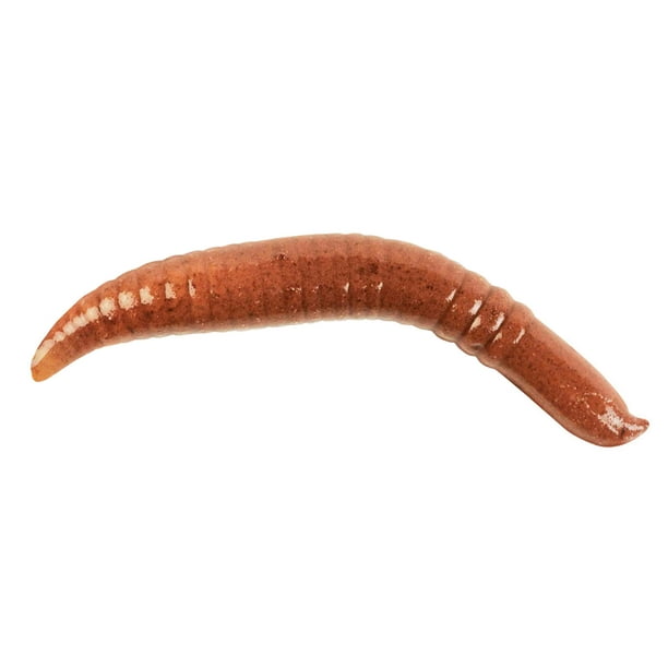 Berkley Gulp! Pinched Crawler Fishing Soft Bait - Walmart.com - Walmart.com