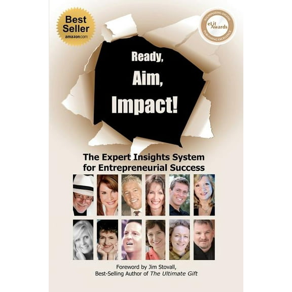 Ready, Aim, Impact! The Expert Insights System for Entrepreneurial Success (Paperback)