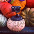 thumbnail image 1 of OctoPad Universal Base Stand and Table Mini Tripod, for Travel, Mirrorless, Action 360 Camera, Cell Phone, Smartphone,, 1 of 3