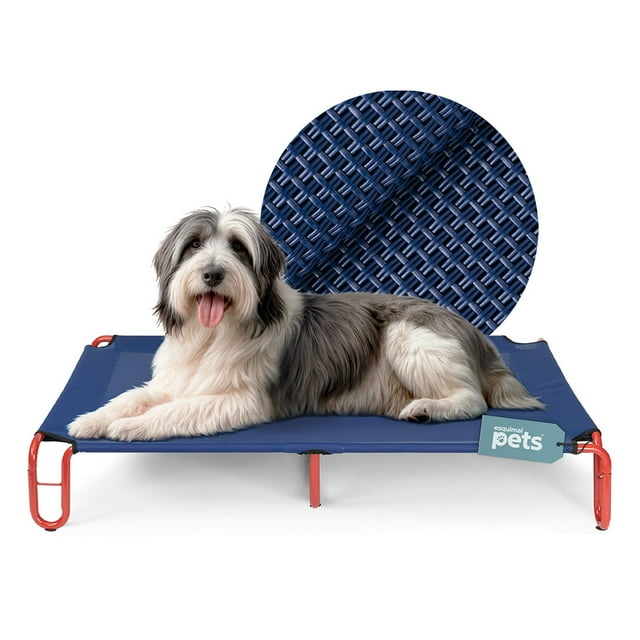 Cama Elevada para Perro con Malla Transpirable, Catre de Mascotas Esquimal(Azul - Rojo,122x85x20 cm)