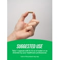 thumbnail image 4 of BulkSupplements Green Tea Extract Capsules - Vegan, 500mg per Serving (180 Capsules - 180 Servings), 4 of 6