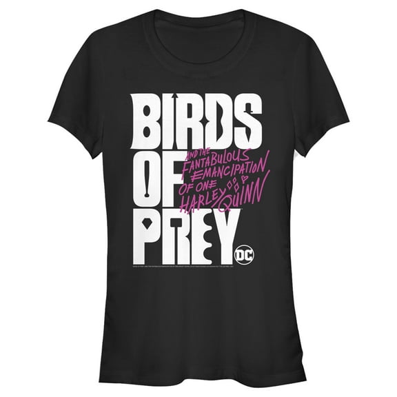 Junior's Birds of Prey Bold Text Logo  Graphic Tee Black Small