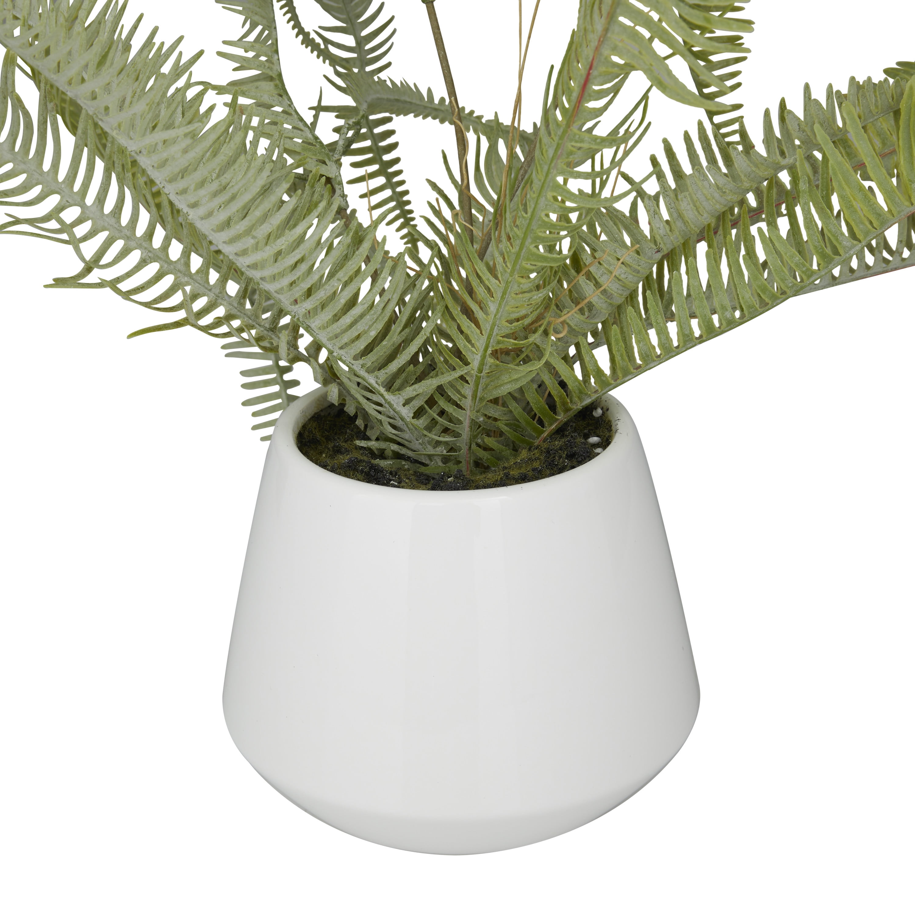 DecMode 14" Artificial Fern Plant in Realistic Leaves and White Ceramic Pot