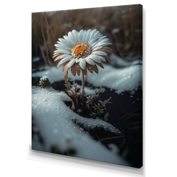 Designart A Blooming White Daisy Flower In Winter Canvas Wall Art