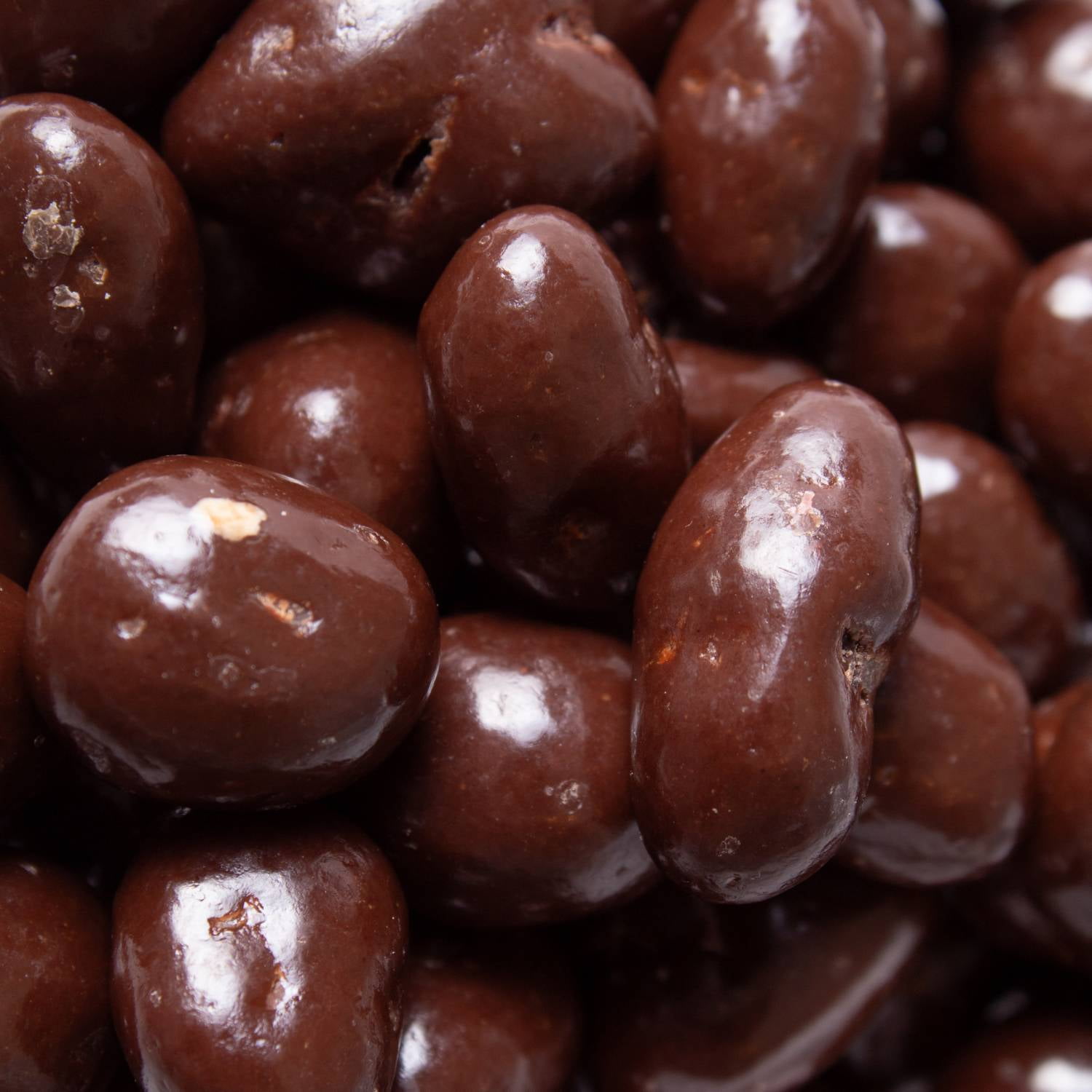 Lehman's Dark Chocolate Covered Raisins, Chocolate Shell, Candy Coated Confectionery Snack, 8 oz Resealable Bag