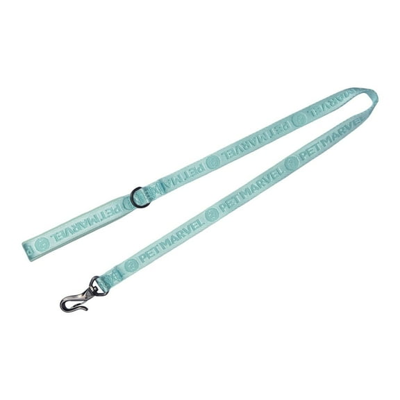 Adjustable 4 FT Stylish Embroidered Dog Leash, 3/4" Width, Mint Green, Heavy Duty Metal Hardware with Comfortable Neoprene Padded Handle