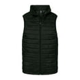 thumbnail image 4 of Burnside Elemental Puffer Vest, 4 of 4