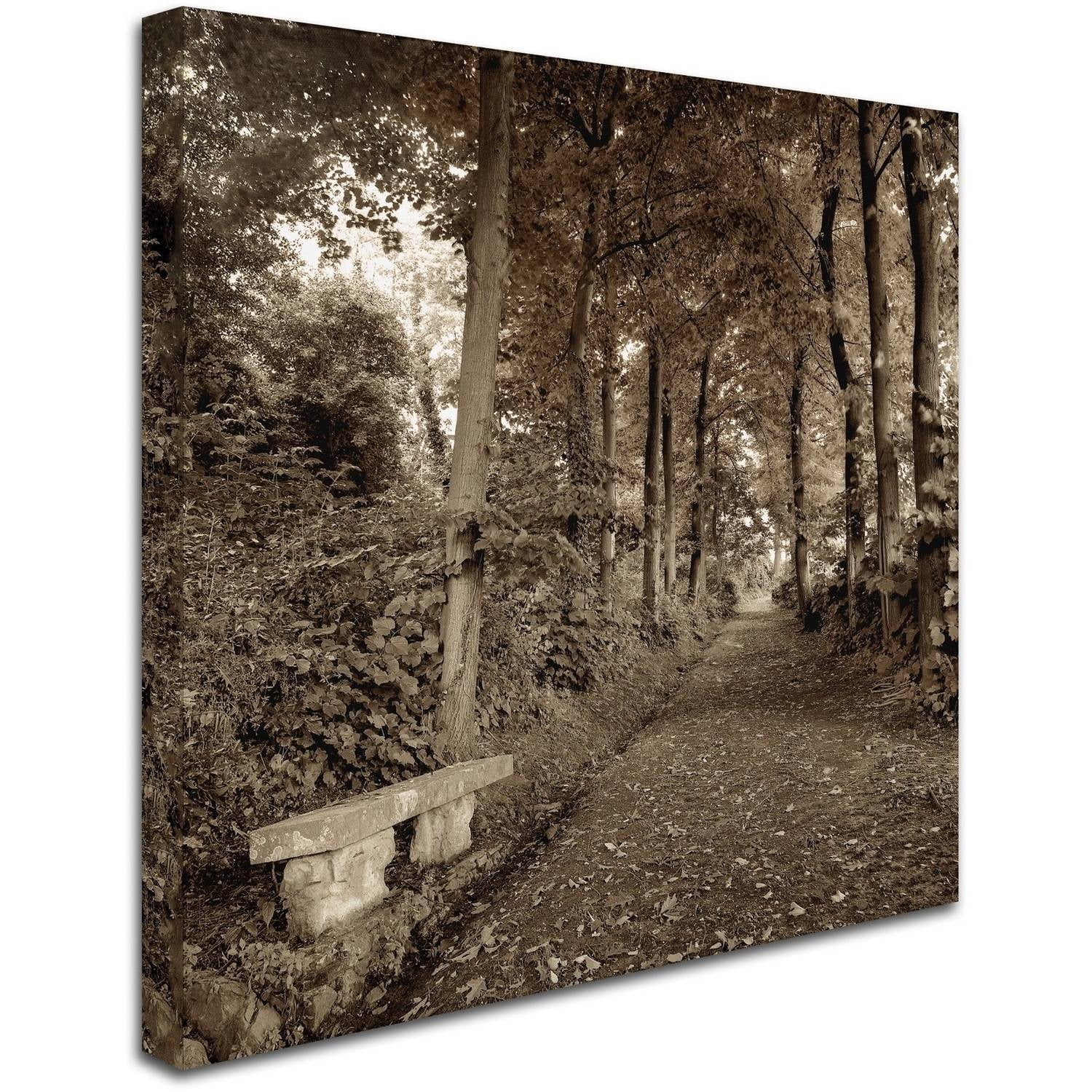 Trademark Fine Art "Fiesole Giardini II" Canvas Art by Alan Blaustein