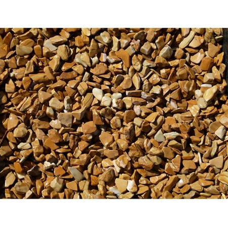 Exotic Pebbles & Aggregates Wood Bean Pebbles, 5 lb