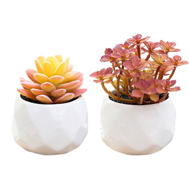 2 uds. Bonsái de diamante grande, simulación de bonsái suculento, flor artificial, planta decorativa creativa, decoración interior