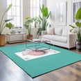 thumbnail image 3 of Area Rugs 4'x6'. Pink Pig Carpet Runner Indoor Outdoor Rugs Home Decor Aesthetic, Teal Laundry Room Washing Machine Non Slip Mats Washable Accent Rug for Living Room Bedroom, 3 of 8