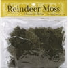 Reindeer Moss 3oz/Pkg-Green Dyed