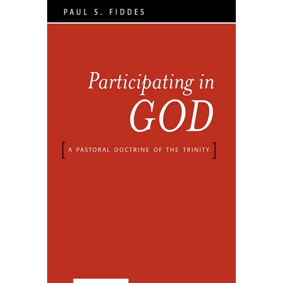 Participating in God: A Pastoral Doctrine of the Trinity (Paperback)