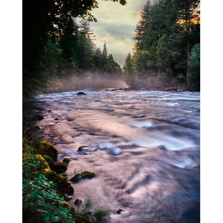 River flowing through a forest McKenzie River Belknap Hot Springs Willamette National Forest Lane County Oregon USA Poster Print by Panoramic Images (28 x