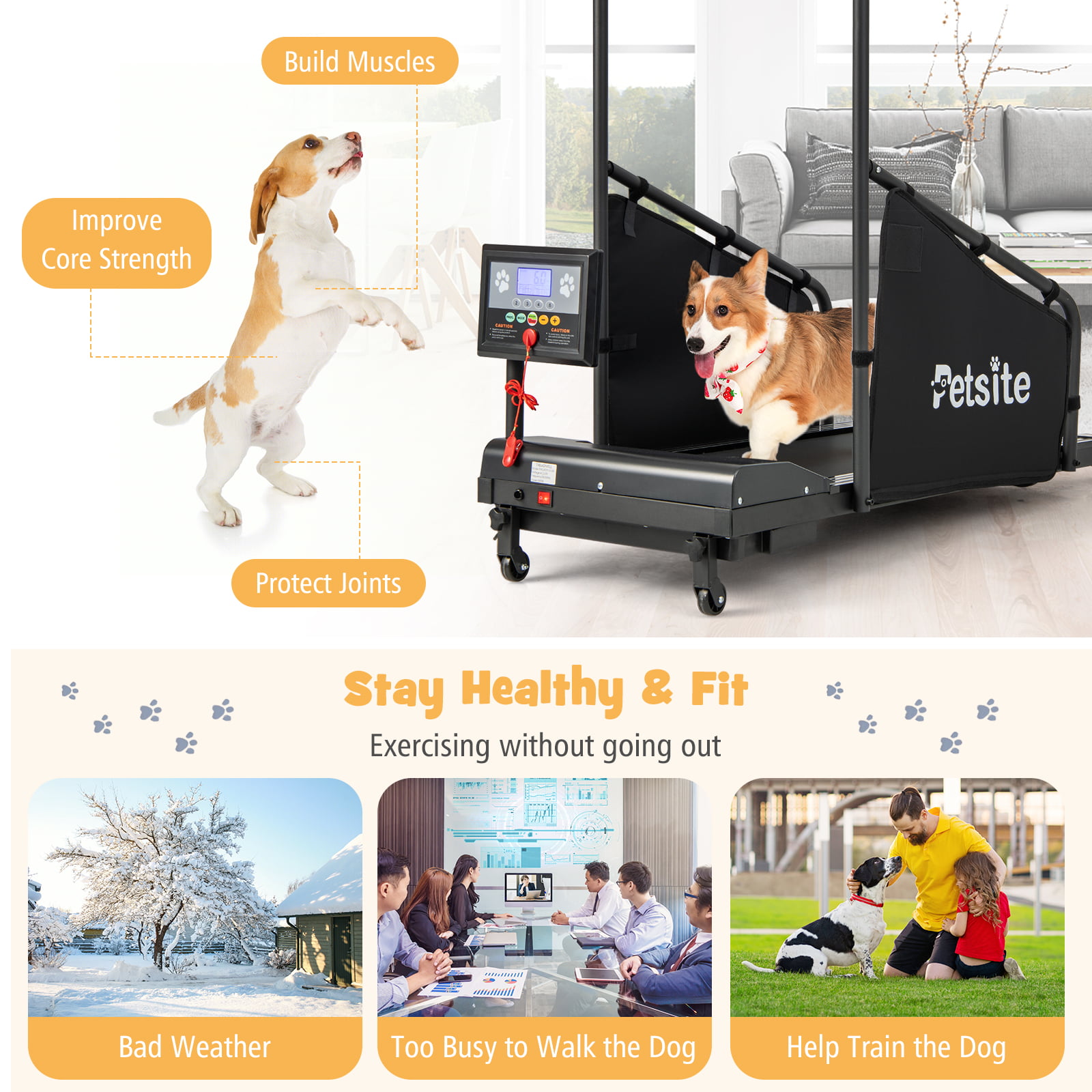 QINTH Dog Treadmill Small Dogs, Pet Dog Running Machine, with Display  Screen, Speed 0.8-12 Km/H, Indoor Exercise Activity, for Large/Medium-Sized  Dogs