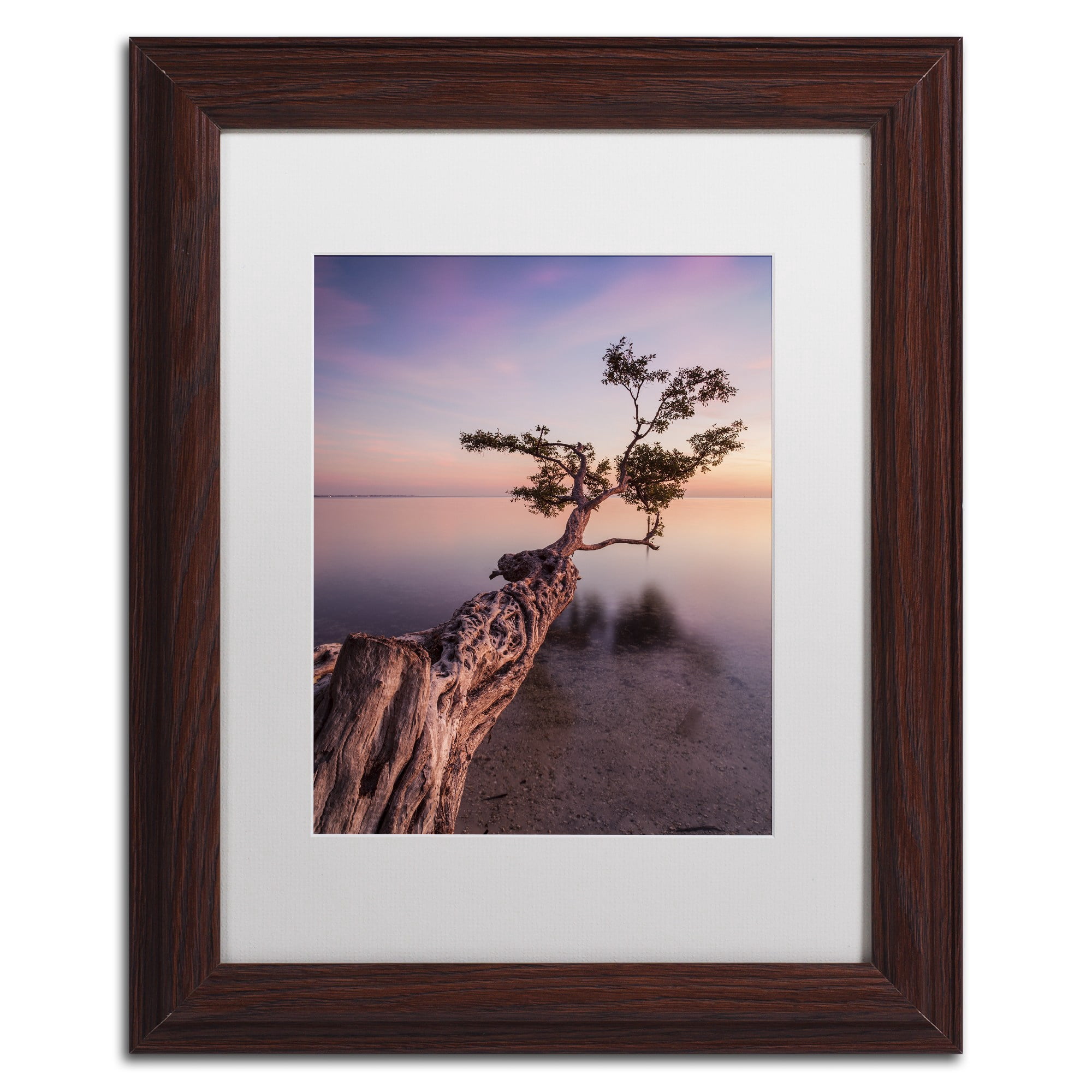 Moises Levy 'Water Tree IV' Matted Framed Art