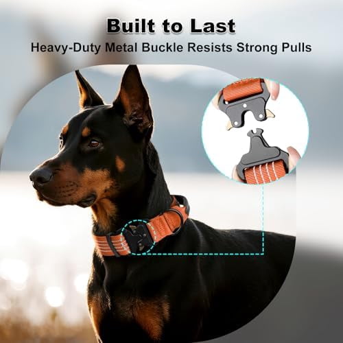 Tactical Dog Collar with Tracker Pocket for AirTag, Adjustable Reflective Nylon Collar, Metal Buckle, Leather-Wrapped Handle, Soft Padded for Medium Large Dogs (Orange, L)