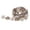 Coffee, variant on Lace Crochet Ribbons Sewing Dressmaking Edging 25mm Coffee
