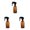 Brown 3PCS, variant on 300ml Spray Bottle Gardening Alcohol Spray Bottle Cosmetics Hair Spray Bottle Fully Transparent Trigger Water Atomizer 3PCS, 300ML, Multicolor