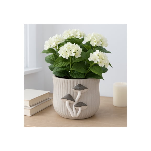 Modern Mushroom Applique Flower Pots for Home Decor - Sleek Planters for Outdoor Styling and Indoor Plants - Cement Pottery Plant Pots for Garden and Living Room Styling - 5", Gray
