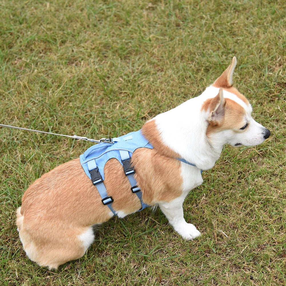 Pet Artist No Pull Dog Harness Escape Proof Reflective Adjustable Sport Vest with Handle Waterproof
