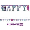Frozen Add-an-Age Birthday Party Decoration Banner, 10.5 ft.