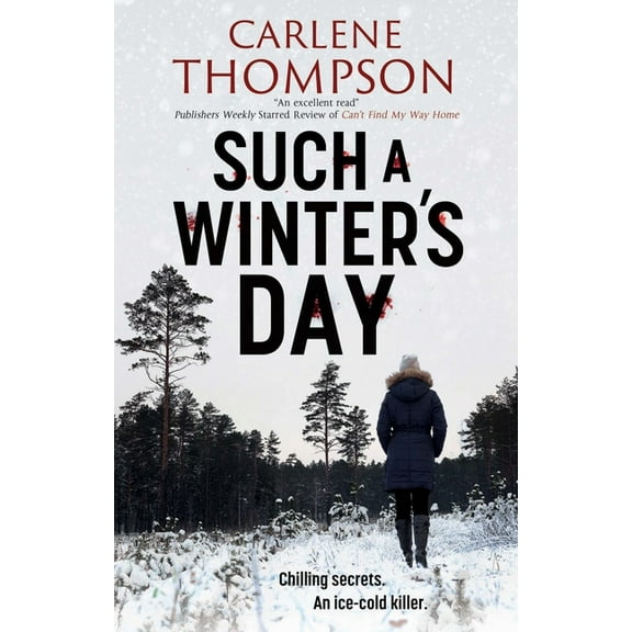 Such a Winter's Day, (Hardcover)