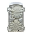 thumbnail image 3 of Calcium Holiday Feeder Disks for Weekends, Holidays, Vacations for Tropical Fish, Shrimp, Snails, Crayfish, 50 Count Jar of Small & Medium, 3 of 6