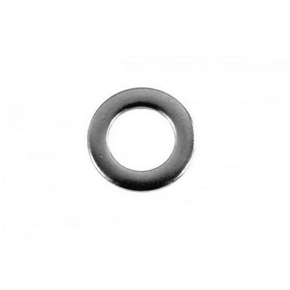 Astral 7021905000 Motor Adapter Washer for Sena Above Ground Pump