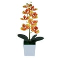 thumbnail image 2 of 1 Pot of Simulated Phalaenopsis Set Artificial Flowers in Pot Decor Orchid Flower Arrangements Faux Flowers Bouquets in Pot Table Centerpieces Holiday Dinning Coffee Room Table Kitchen Decoration, 2 of 9