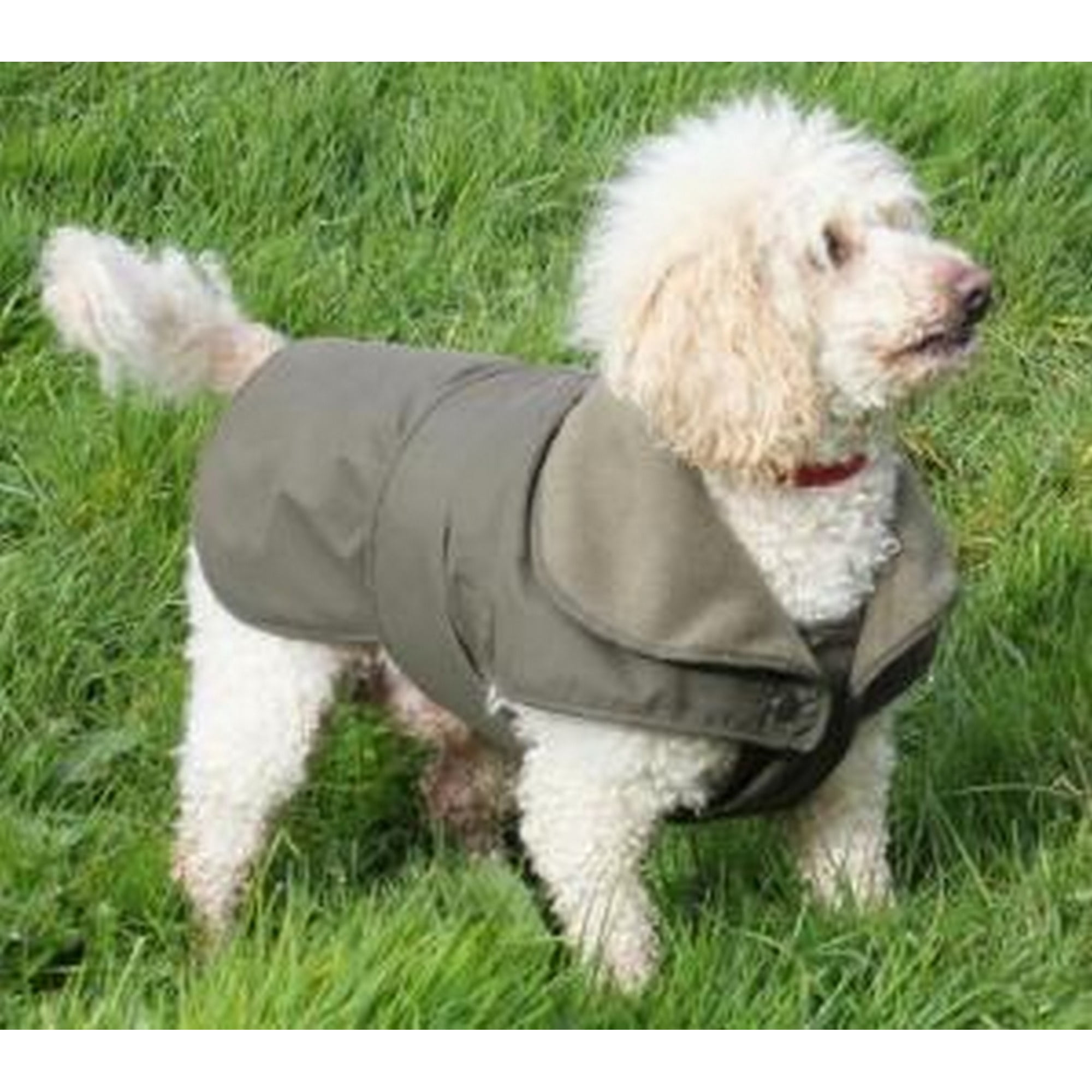 cosipet dog coat