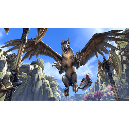Bethesda Softworks Elder Scrolls Online: Summerset for PlayStation 4