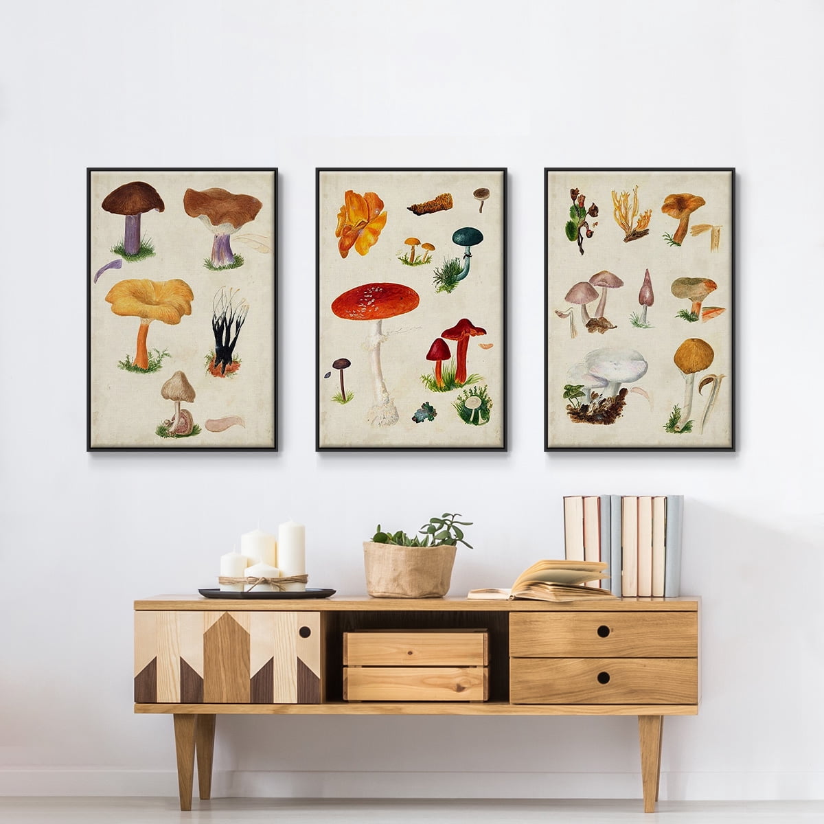 Mushroom Species VI - Framed Premium Gallery Wrapped Canvas L Frame 3 Piece Set - Ready to Hang